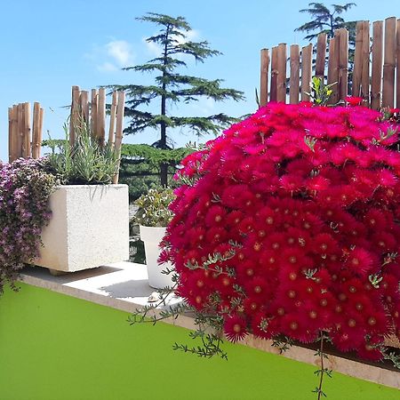 B&B Smartfit House - Room & Relax In Pescara Dış mekan fotoğraf